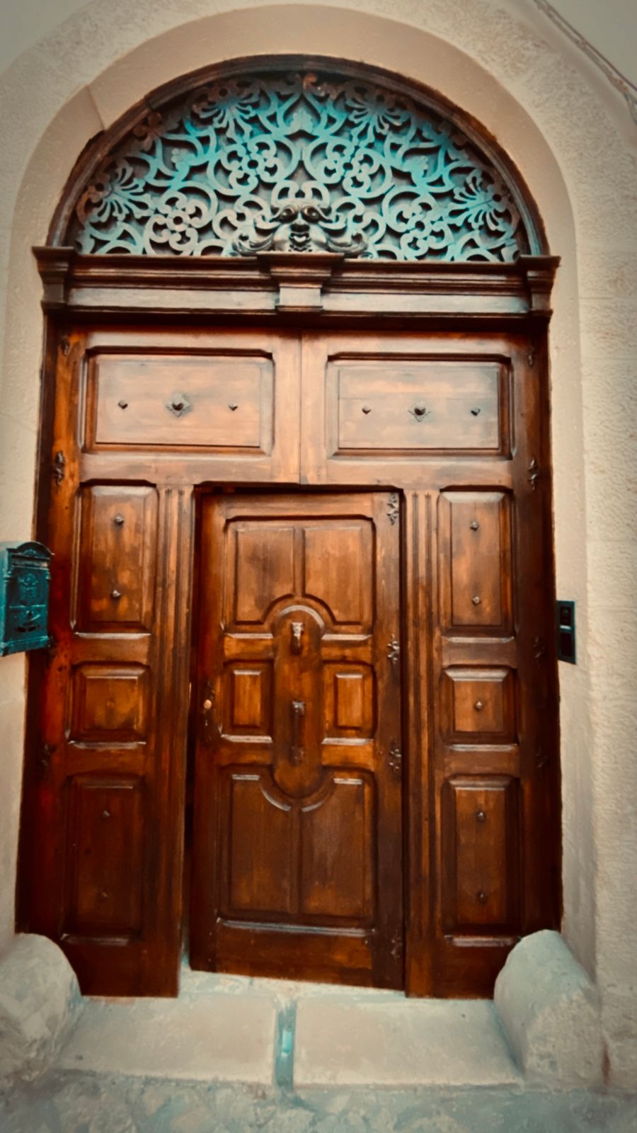 The carved wooden street door beneath its iron fanlight.